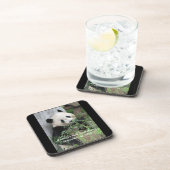 Untersetzer, Set von 6, Panda Getränkeuntersetzer (Rechte Seite)