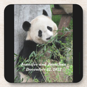 Untersetzer, Set von 6, Panda Getränkeuntersetzer