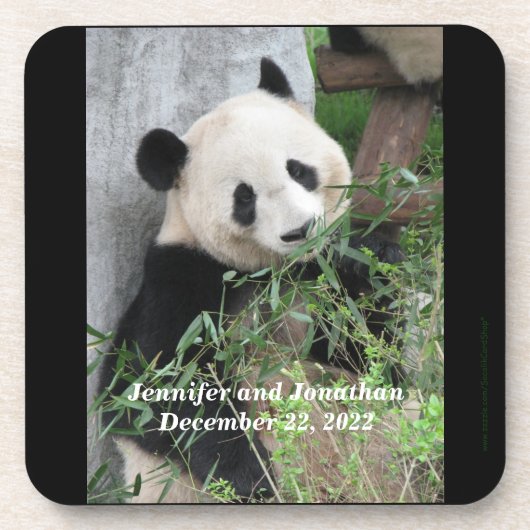 Untersetzer, Set von 6, Panda Getränkeuntersetzer (Vorderseite)