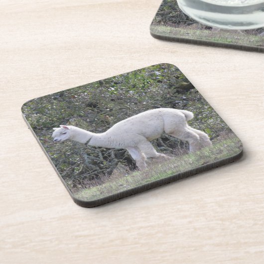 Untersetzer Set - Weißer Alpaca (Linke Seite)