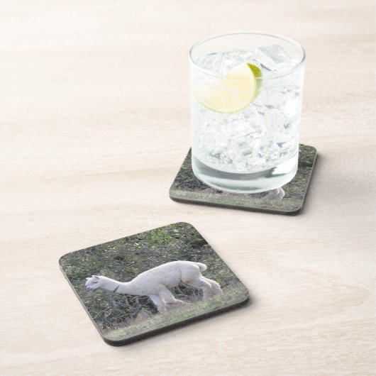 Untersetzer Set - Weißer Alpaca (Rechte Seite)