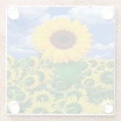 Untersetzer-Sonnenblumen Glasuntersetzer (Rückseite)