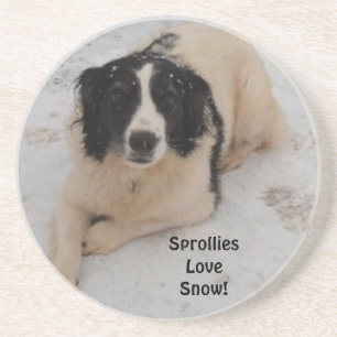 Untersetzer Sprollie im Schnee