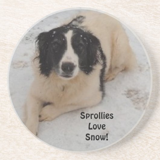 Untersetzer Sprollie im Schnee (Vorne)