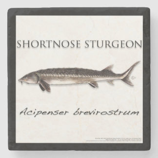 Untersetzer - Stör Kurzschnauze - acigifts@yahoo.c