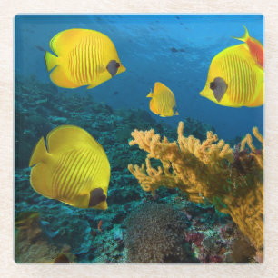 Untersetzer-Tropischer Fisch Glasuntersetzer