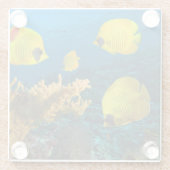 Untersetzer-Tropischer Fisch Glasuntersetzer (Rückseite)