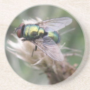 Untersetzer von Green Bottle Fly