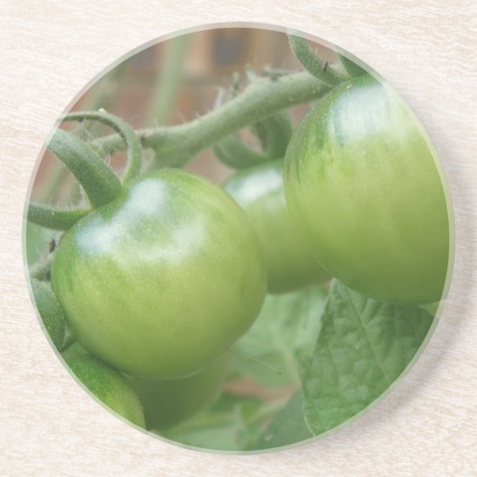 Untersetzer von grünen Tomaten (Vorne)