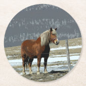 Untersetzer von Paddock-Pferdepferden in Belgien (Vorderseite)