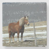 Untersetzer von Paddock-Stone (Vorderseite)