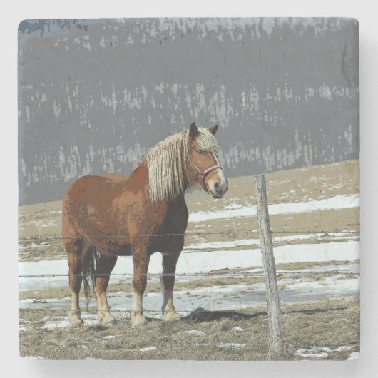 Untersetzer von Paddock-Stone (Vorderseite)