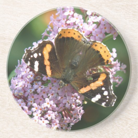 Untersetzer von Red Admiral Butterfly und Buddleia (Vorne)