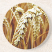 Untersetzer von Weizenfeldern (Vorne)