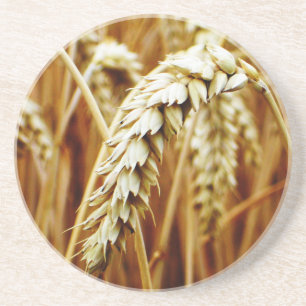 Untersetzer von Weizenfeldern