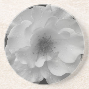 Untersetzer von White Rose Sandstone