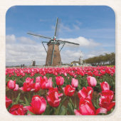 Untersetzer Windmühle und Tulips (Vorderseite)