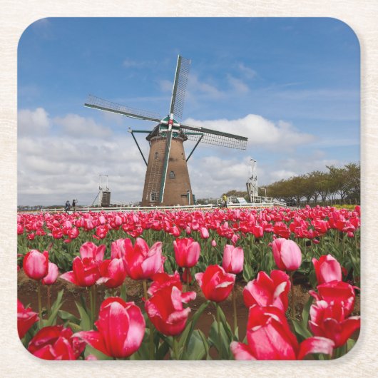 Untersetzer Windmühle und Tulips (Vorderseite)