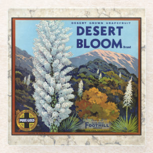 UNTERSETZER - Wüstenblüte - Kratenkennzeichnung he