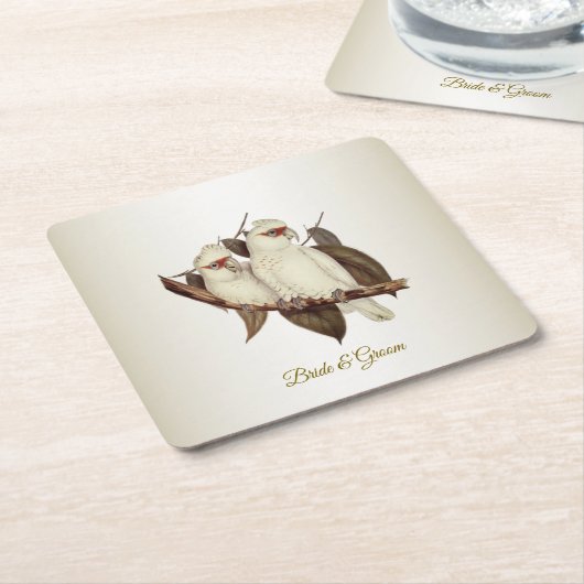 Untersetzer zum Weißbuch über Vögel (angewinkelt)