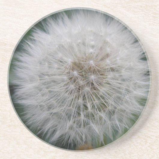 Untersetzer zur Blume von Dandelion (Vorne)