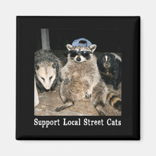Unterstütze lokale Straßenkatzen lustiger Waschbär Magnet