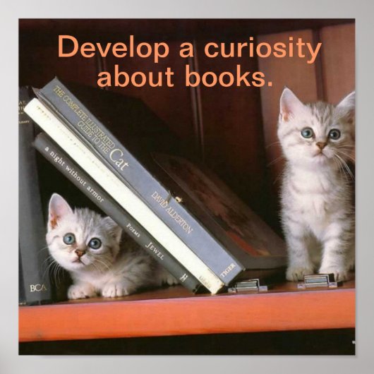 Unterstützendes Literaturplakat Poster (Vorne)