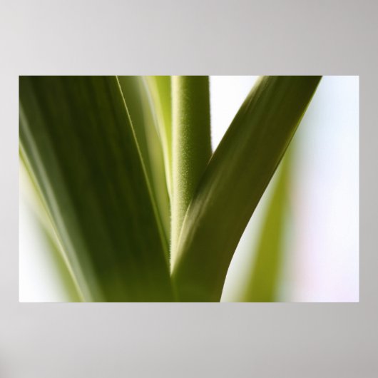 Unterstützung anzeigen poster (Vorne)