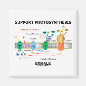 Unterstützung der Fotosynthese-Exhale (Biochemie-S Magnet (Vorne)