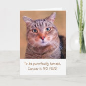 Unterstützung für niedlichen Kätzchenkrebs Karte (Vorderseite)