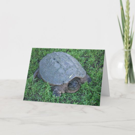 Unterstützung für über 70 Millionen Jahre Geburtst Karte (Vorderseite)