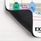 Unterstützung von Fotosynthese-Exhale (Biochemie-S Mousepad (Ecke)