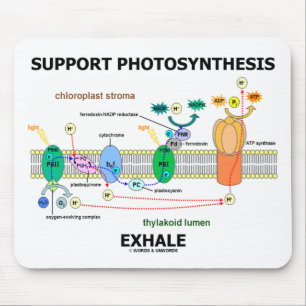 Unterstützung von Fotosynthese-Exhale (Biochemie-S Mousepad