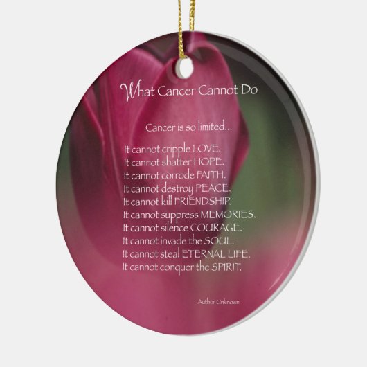 Unterstützung von Krebs, was Krebs nicht kann, Blu Keramik Ornament (Links)
