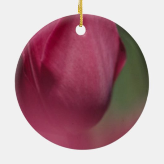 Unterstützung von Krebs, was Krebs nicht kann, Blu Keramik Ornament (Hinten)