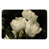 Untersuchung einer Peony-Blume Magnet (Horizontal)