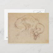 Untersuchung eines Hundes Postkarte (Vorne/Hinten)