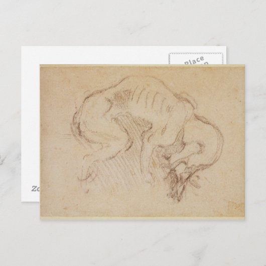 Untersuchung eines Hundes Postkarte (Vorne/Hinten)