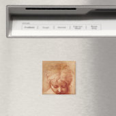 Untersuchung eines Leiters Magnet (In Situ (Geschirrspüler))