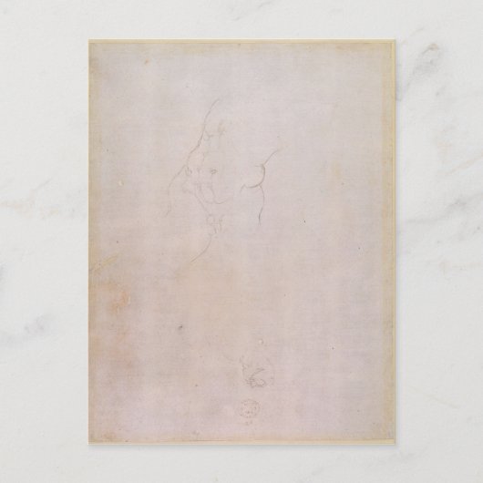 Untersuchung eines männlichen Rumpfes Postkarte (Vorderseite)