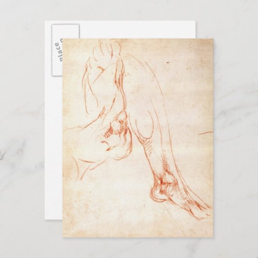 Untersuchung eines Unterschenkels und Fußes Postkarte (Vorne/Hinten)