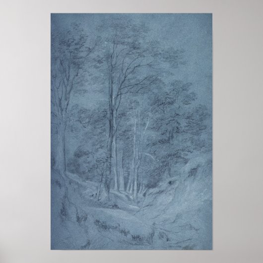 Untersuchung von Asche und anderen Bäumen Poster (Vorne)