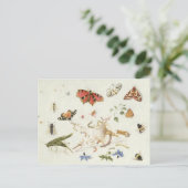 Untersuchung von Insekten und Blume Postkarte (Stehend Vorderseite)