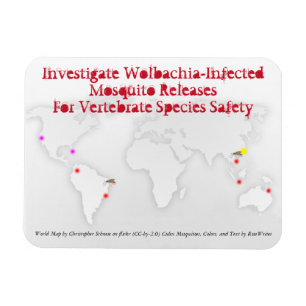Untersuchung von Wolbachia 3 x 4 Magnet durch Rose