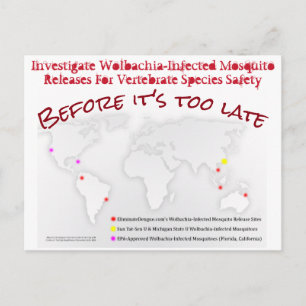 Untersuchung von Wolbachia Postcard by RoseWrites Postkarte