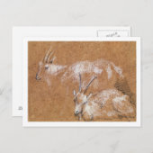 Untersuchung von Ziegen (zeichnend) Postkarte (Vorne/Hinten)