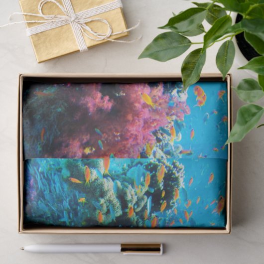 Unterwasser13-16 Bild-Wahlen Seidenpapier (Geschenk)