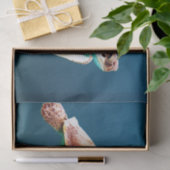 Unterwasser24 Seidenpapier (Geschenk)