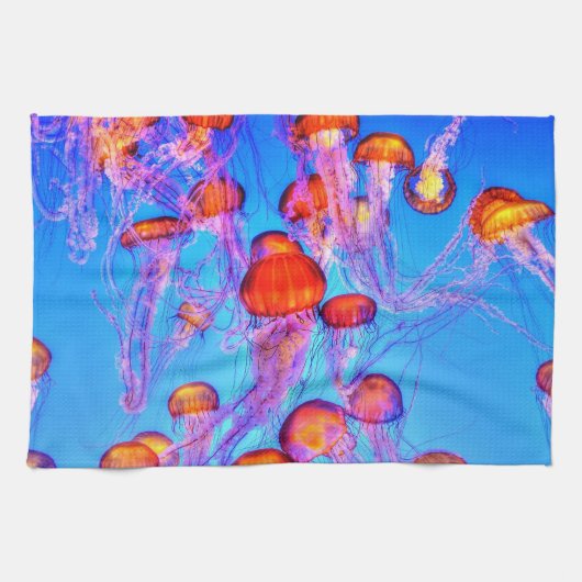 Unterwasser 22 Küchentücher (Horizontal)