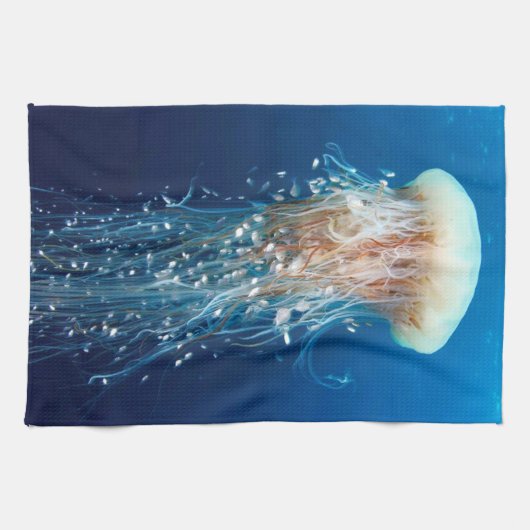 Unterwasser 31 Küchentücher (Horizontal)